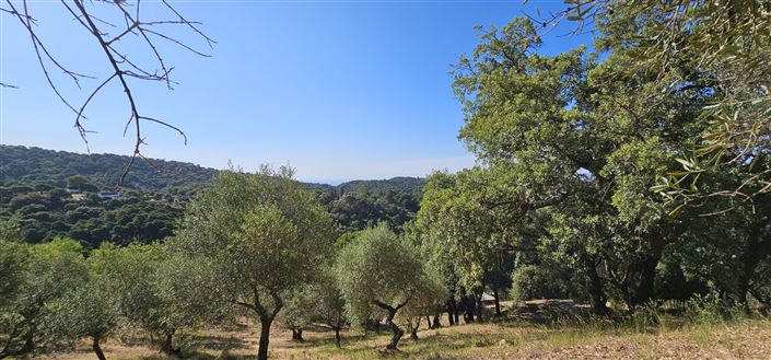 Image No.2-Plot for sale