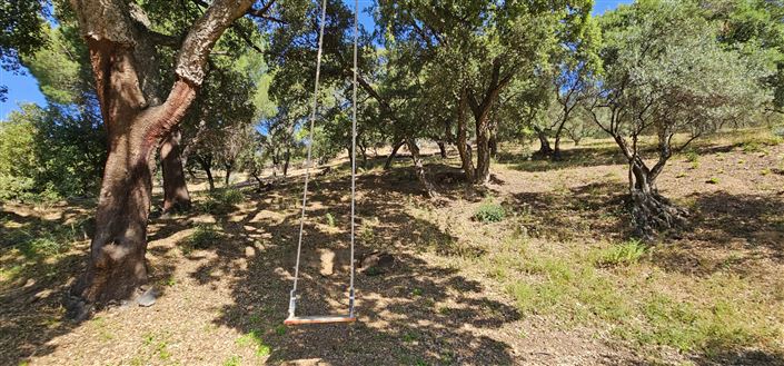 Image No.5-Plot for sale