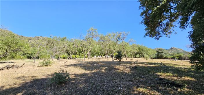 Image No.9-Plot for sale