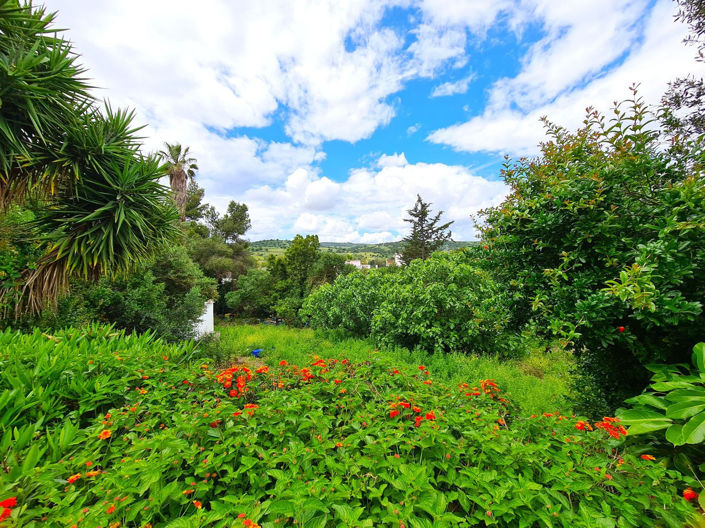 Image No.24-Maison de 3 chambres à vendre à San Martin del Tesorillo