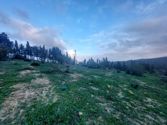 Image No.30-Maison de 3 chambres à vendre à San Martin del Tesorillo