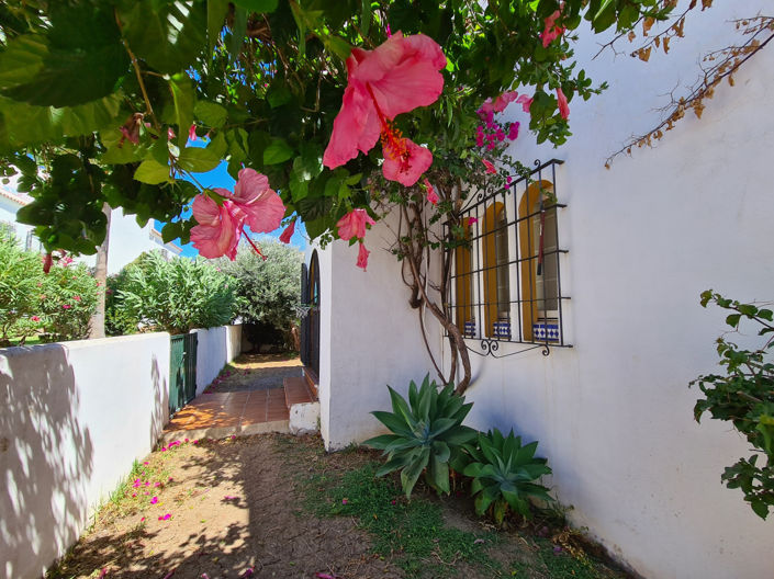 Image No.13-Maison de 3 chambres à vendre à Casares
