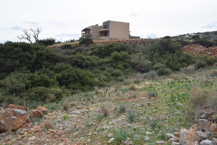 Image No.5-Land for sale