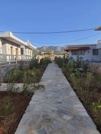 FB_IMG_1656273472063