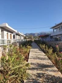 FB_IMG_1656273488404