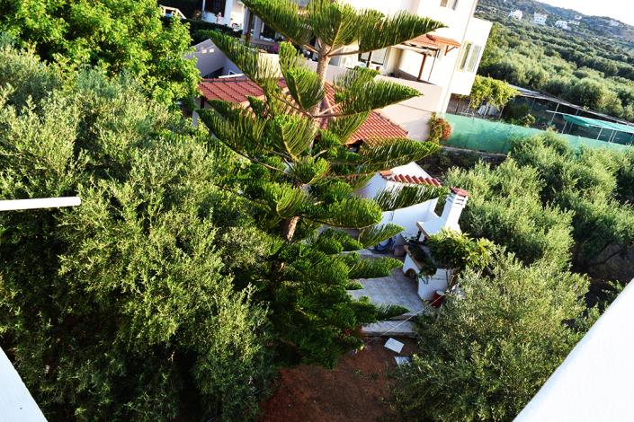 Image No.25-Propriété de 7 chambres à vendre à Milatos