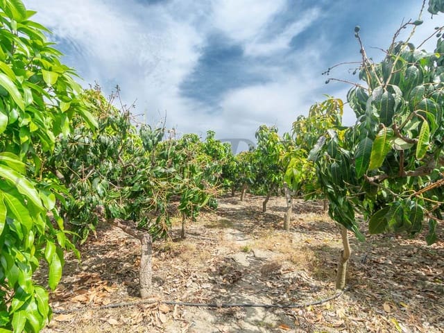 Image No.16-4 Bed Villa for sale