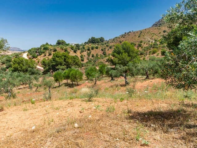 Image No.11-Terre à vendre à Ardales