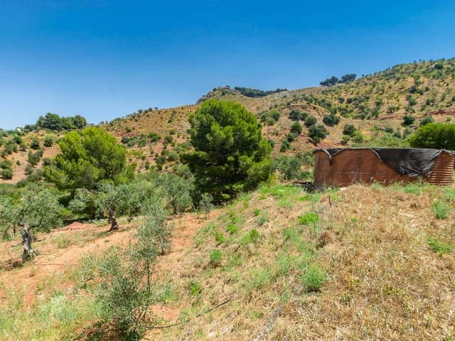 Image No.12-Terre à vendre à Ardales