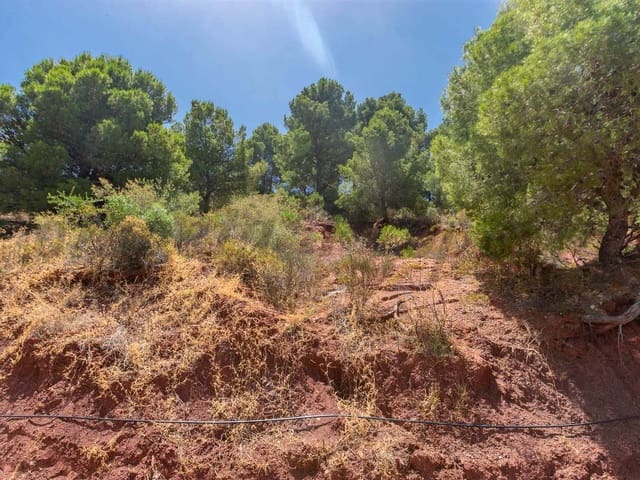 Image No.3-Terre à vendre à Ardales