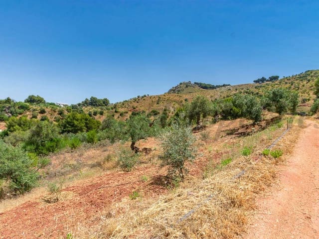 Image No.5-Terre à vendre à Ardales