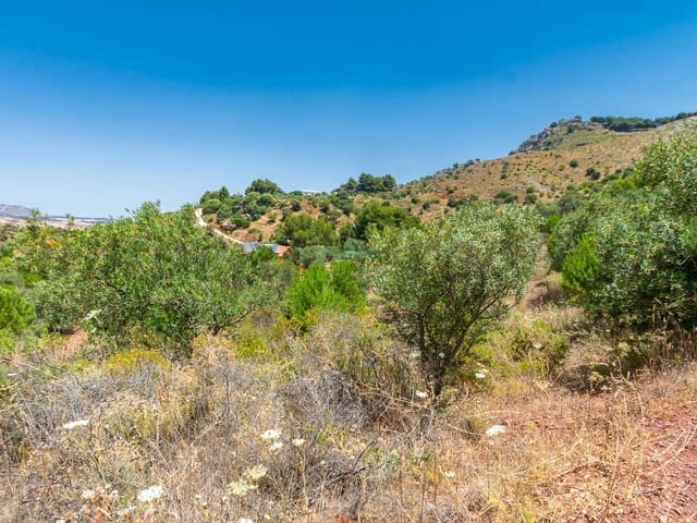 Image No.6-Terre à vendre à Ardales