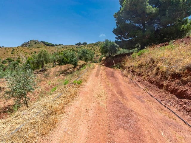 Image No.7-Terre à vendre à Ardales