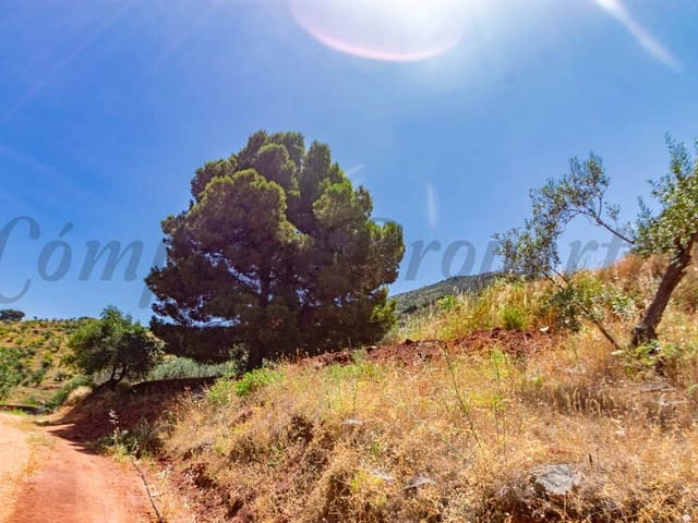 Image No.8-Terre à vendre à Ardales