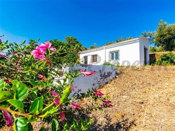 1 - Arenas, Appartement