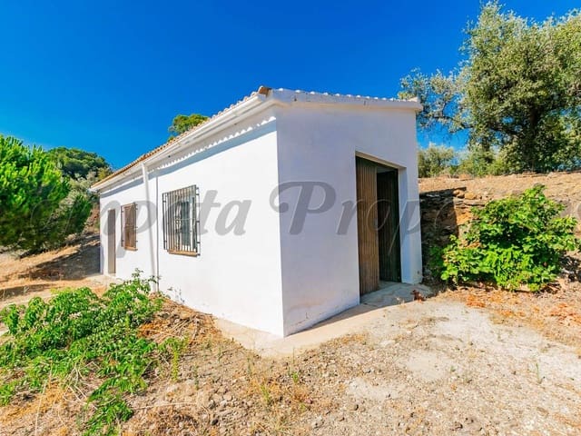 Image No.5-3 Bed Apartment for sale