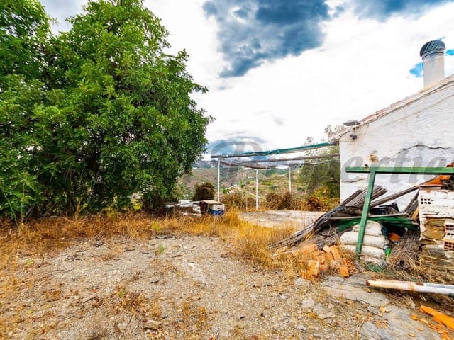 Image No.4-Finca de 1 chambre à vendre à Torrox