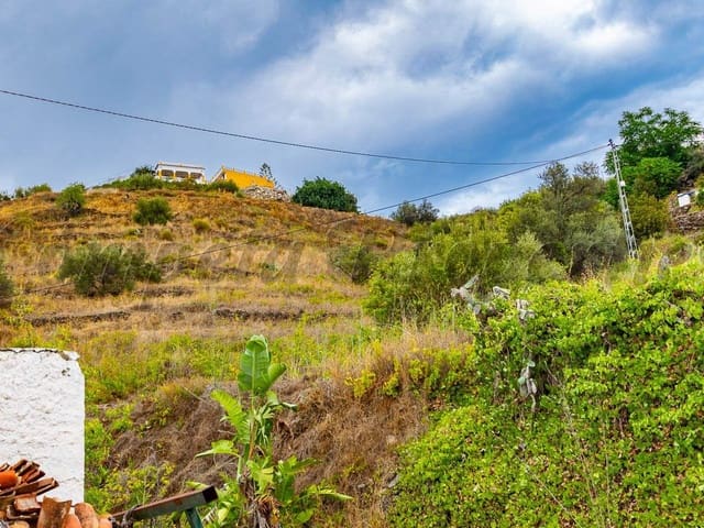 Image No.5-Finca de 1 chambre à vendre à Torrox