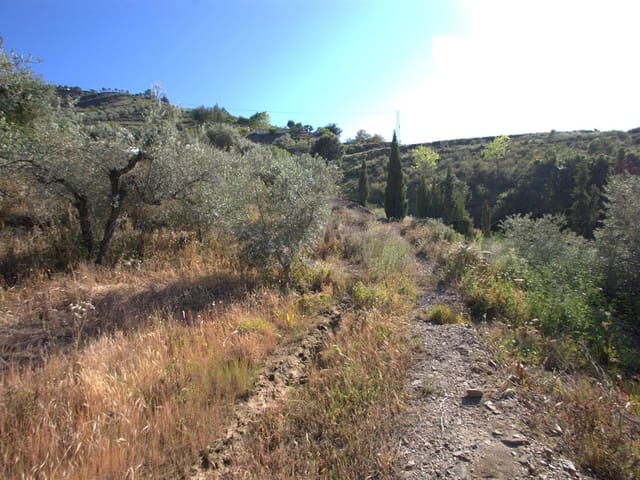 Image No.2-Terre à vendre à Cómpeta