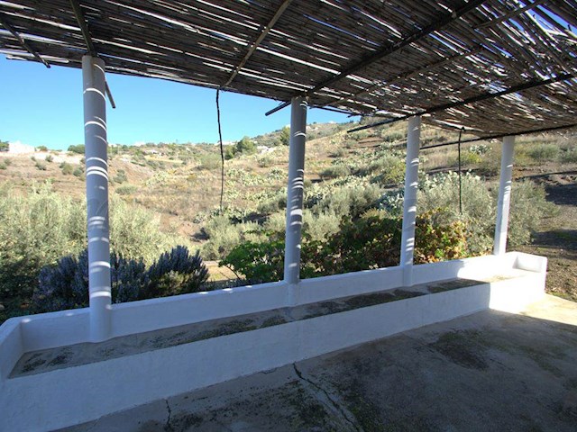 Image No.2-Finca de 1 chambre à vendre à Torrox