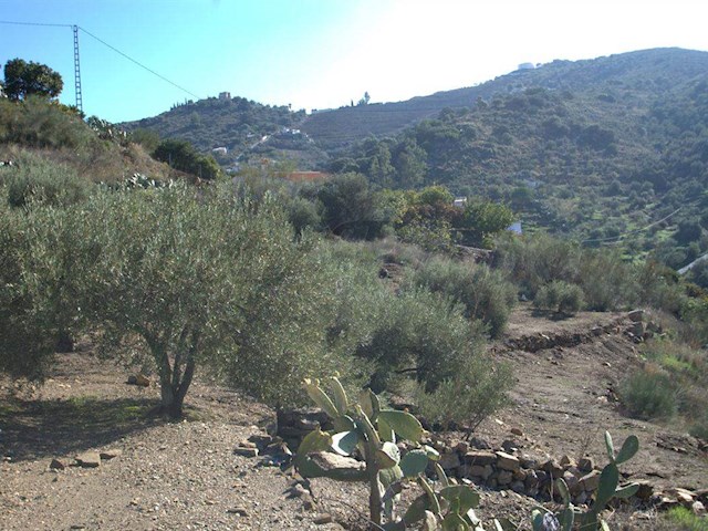 Image No.6-Finca de 1 chambre à vendre à Torrox