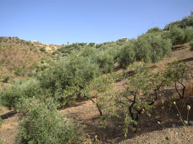 Image No.3-Finca à vendre à Sedella