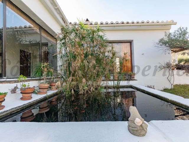 Image No.19-Finca de 7 chambres à vendre à Torrox