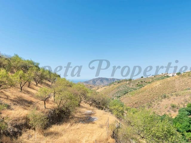 Image No.17-Finca de 8 chambres à vendre à Sedella