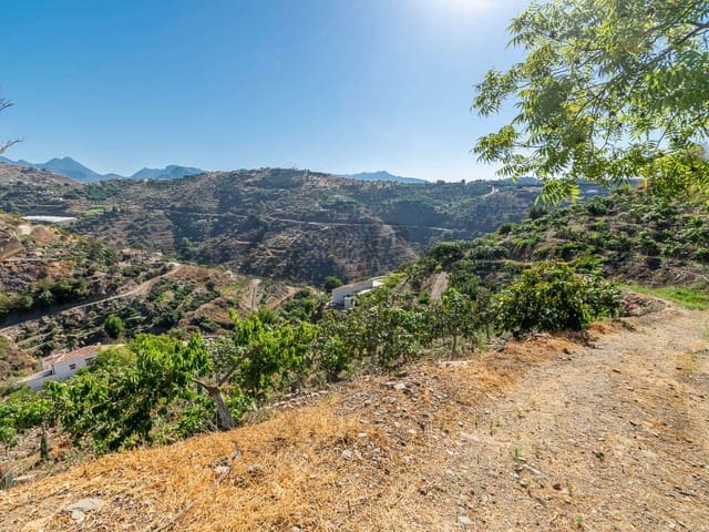 Image No.11-Finca de 2 chambres à vendre à Torrox