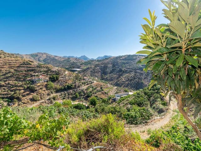 Image No.12-Finca de 2 chambres à vendre à Torrox