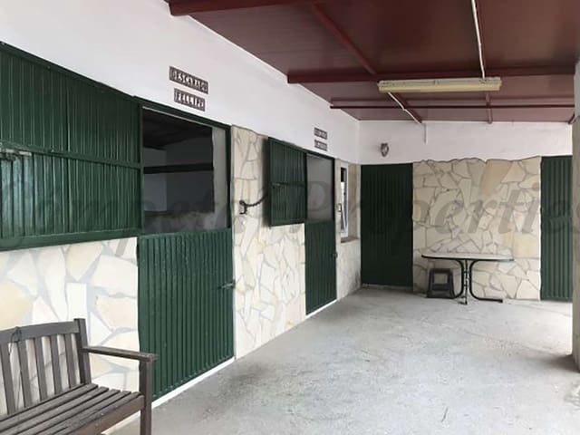 Image No.22-Finca de 4 chambres à vendre à Sayalonga