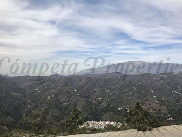 Image No.24-Finca de 4 chambres à vendre à Sayalonga