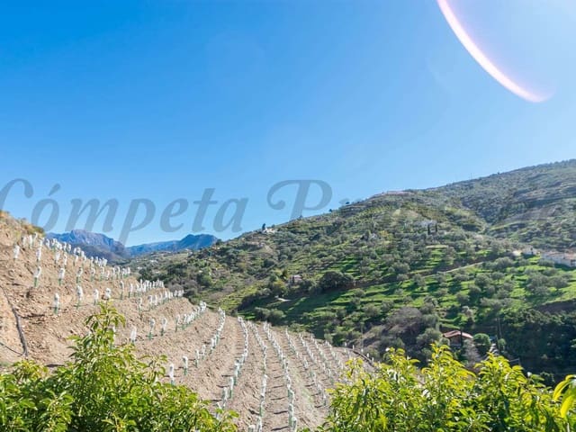 Image No.9-Finca de 3 chambres à vendre à Cómpeta