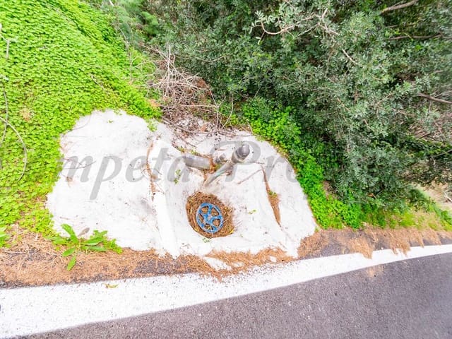 Image No.13-Land for sale