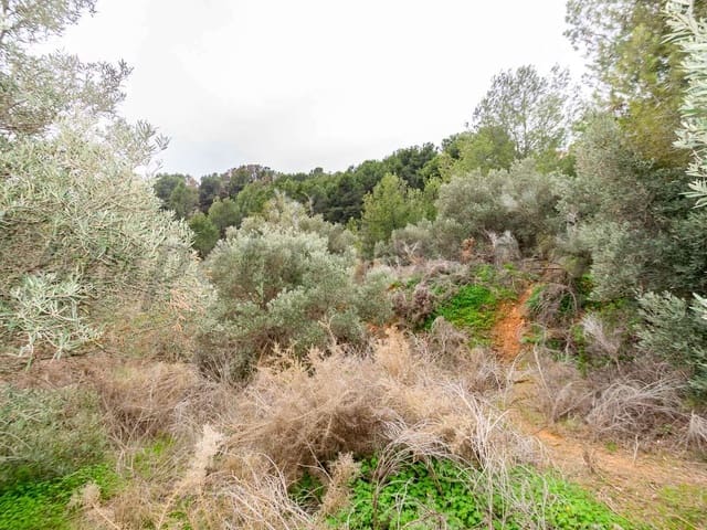 Image No.26-Land for sale