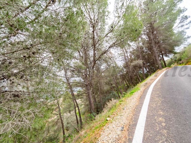 Image No.5-Land for sale