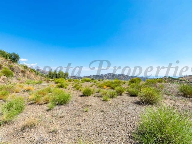 Image No.3-Terre à vendre à Canillas de Albaida