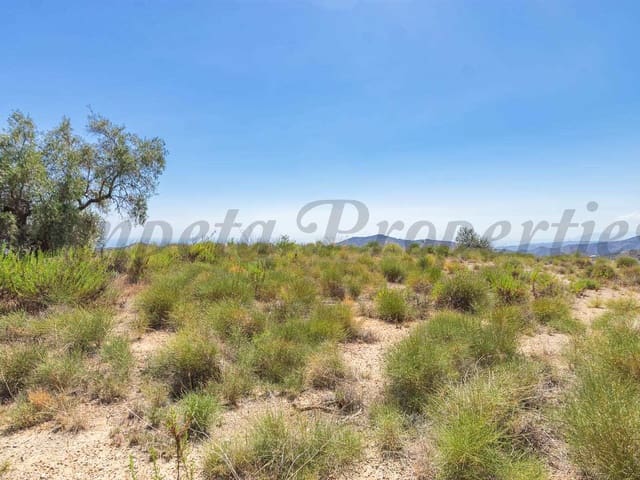 Image No.2-Terre à vendre à Canillas de Albaida