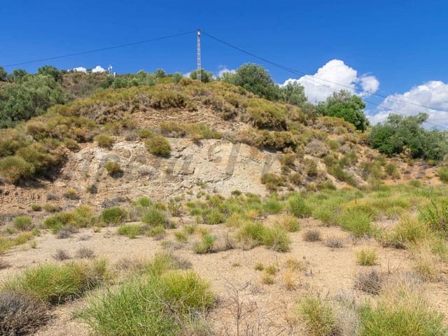 Image No.5-Terre à vendre à Canillas de Albaida