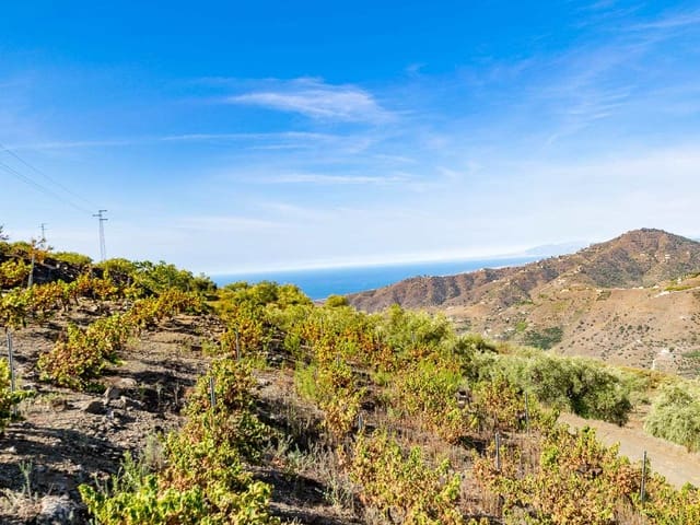 Image No.3-2 Bed Villa for sale