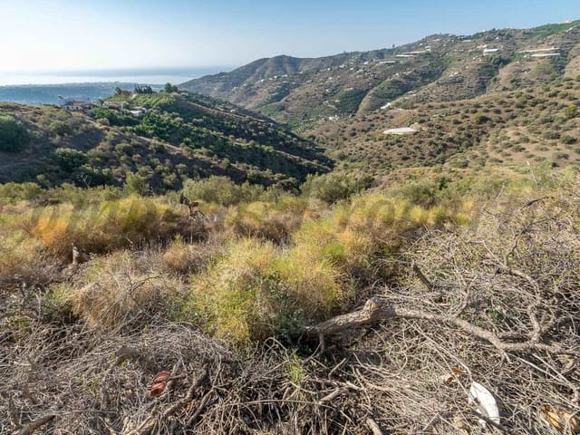 Image No.10-Terre à vendre à Torrox