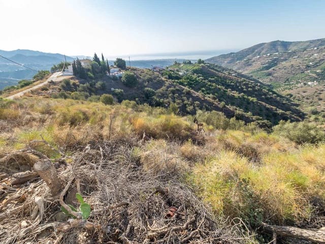 Image No.11-Terre à vendre à Torrox