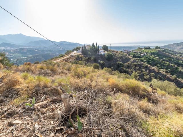 Image No.12-Terre à vendre à Torrox
