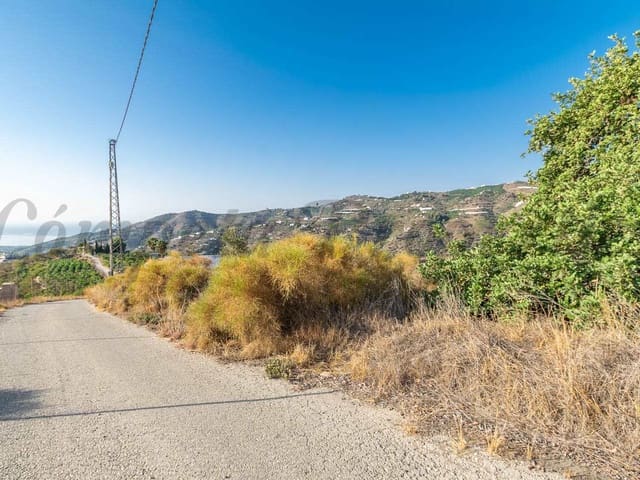 Image No.4-Terre à vendre à Torrox