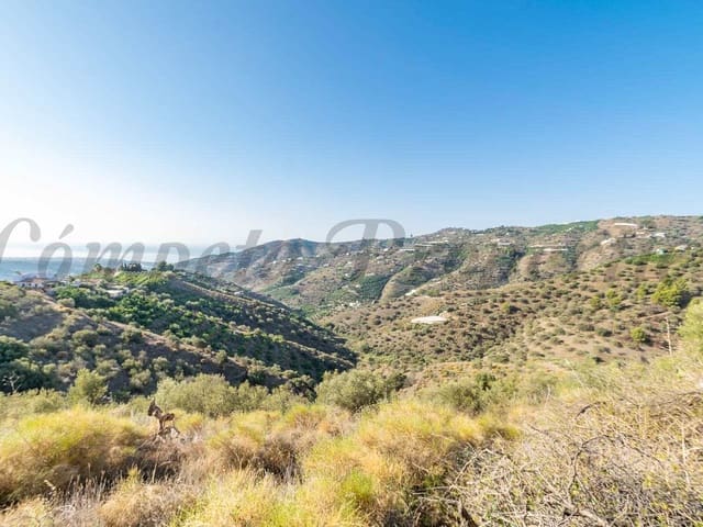 Image No.8-Terre à vendre à Torrox