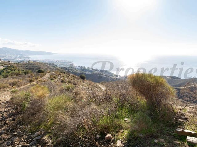 Image No.3-Terre à vendre à Torrox