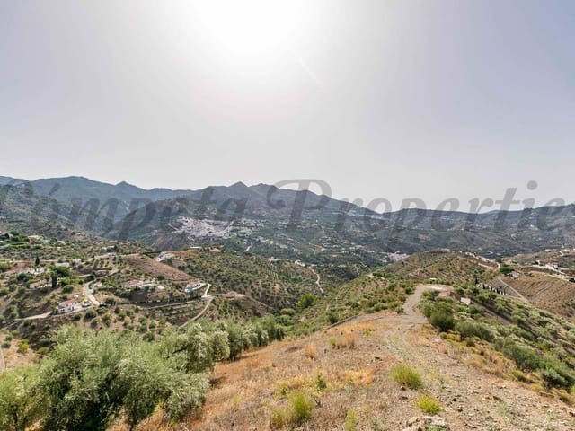 Image No.4-Terre à vendre à Canillas de Albaida