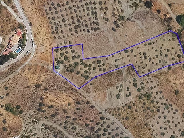 Image No.5-Terre à vendre à Canillas de Albaida