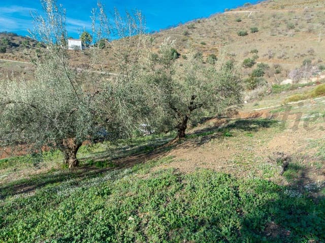 Image No.10-Land for sale