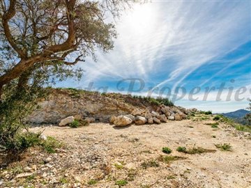 1 - Canillas de Albaida, Terre